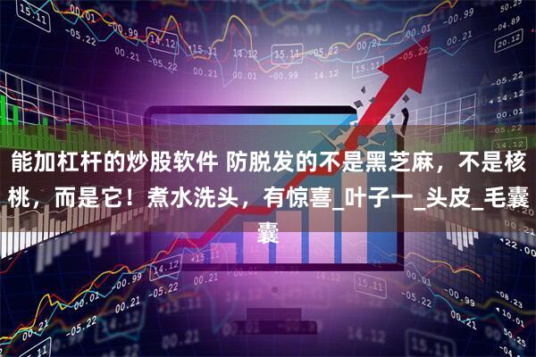 能加杠杆的炒股软件 防脱发的不是黑芝麻，不是核桃，而是它！煮水洗头，有惊喜_叶子一_头皮_毛囊